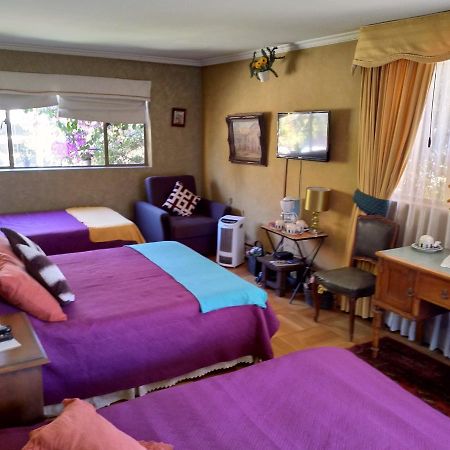 Bed & Breakfast Blumen Haus Santiago de Chile Exteriér fotografie